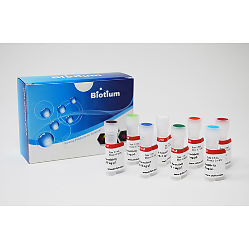 accublue high sensitivity dsdna standards, set of eight, 0.5 ml each