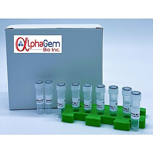 oaw28 (human ovarian cancer cell line) whole cell lysate
