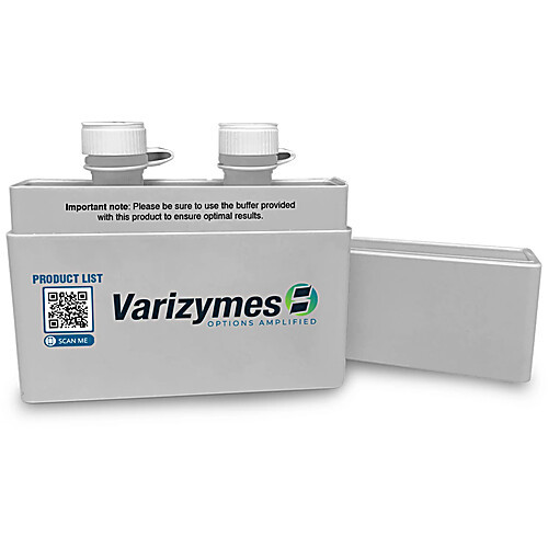 econoscript reverse transcriptase; 10,000 units;con:200 u/µl