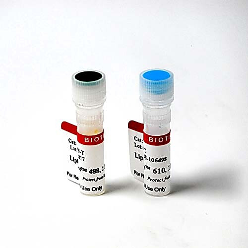 lipidspot„¢ 610 lipid droplet stain, trial size 20ul