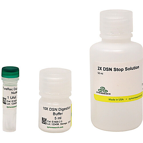 purerec duplex-specific nuclease (dsn) (1000 u)