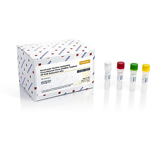 xmrv taqman probe/primer and control set