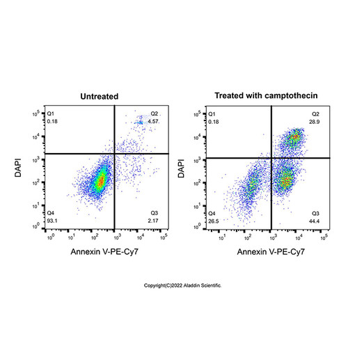 annexin v-pe-cy7/dapi apoptosis detection kit (c007b-608062)