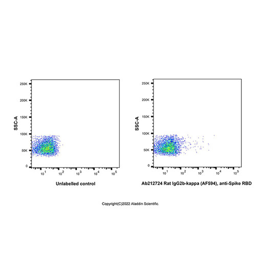 rat igg2b-kappa (af594), anti-spike rbd (c007b-609541)