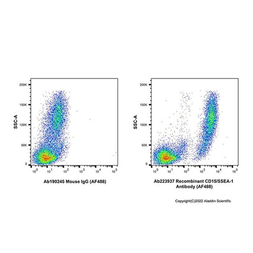 recombinant cd15/ssea-1 antibody (af488) (c007b-609751)