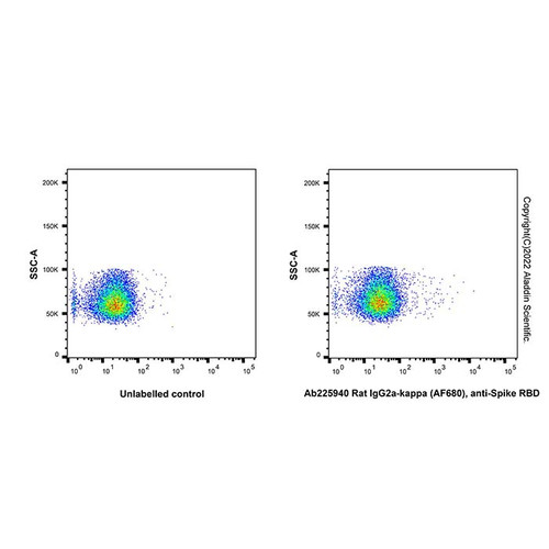 rat igg2a-kappa (af680), anti-spike rbd (c007b-609829)