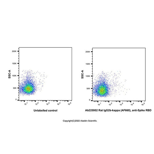 rat igg2b-kappa (af660), anti-spike rbd (c007b-609833)
