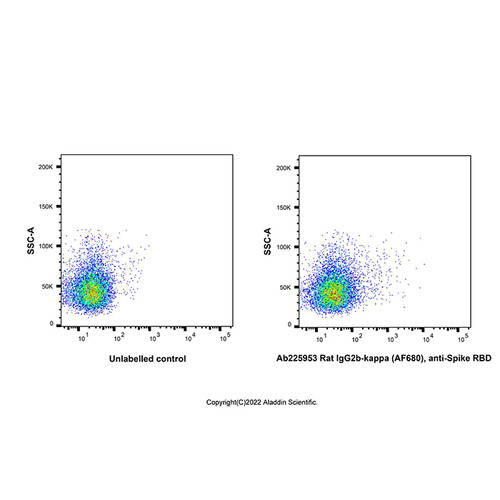rat igg2b-kappa (af680), anti-spike rbd (c007b-609835)