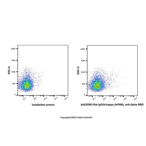 rat igg2b-kappa (af680), anti-spike rbd (c007b-609836)