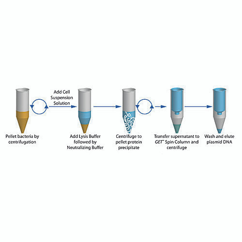 plasmid miniprep 4x96 well