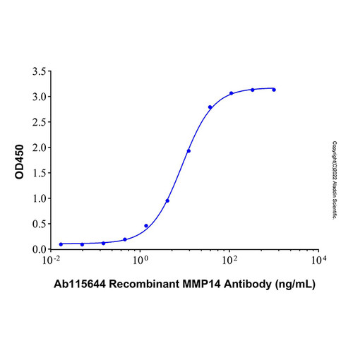 recombinant human mmp-14/mt1-mmp protein (c007b-676815)