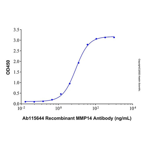 recombinant human mmp-14/mt1-mmp protein (c007b-676816)