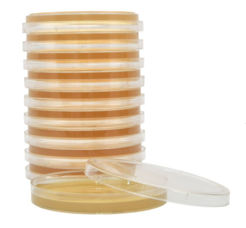 hardy diagnostics - w540 - tryptic soy agar (tsa), steremt, irradiated, usp, triple bag, ( pack )