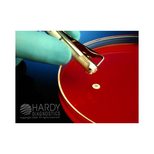 erythromycin, e-15, hardydisks ast, 5 x 50 disks