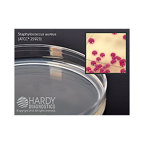 hardychrom staphylococcus aureus, 15x100mm plate
