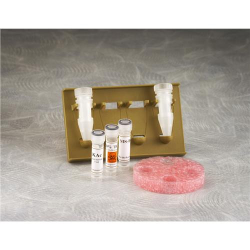 midi (1k mwco) flextube kit - 10/pk
