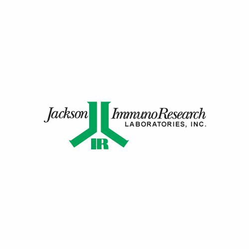 peroxidase affinipure goat anti-mouse igg, light chain specific for western blotting after ip, 0.5 ml