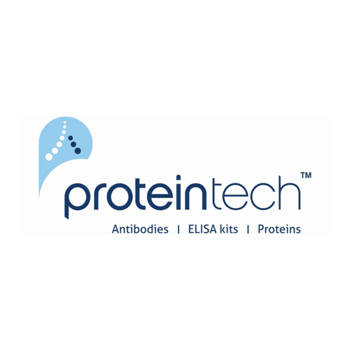 zinc finger protein 611