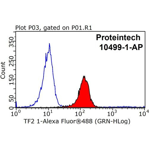 gtf2i rabbit polyclonal antibody (10499-1-ap)