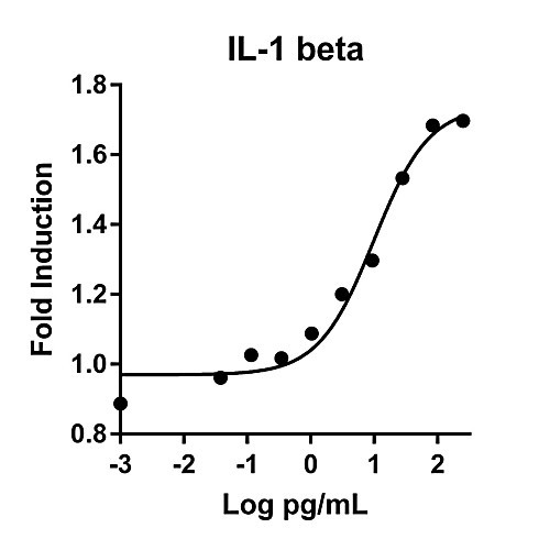 humankine recombinant human il-1 beta, 10ug