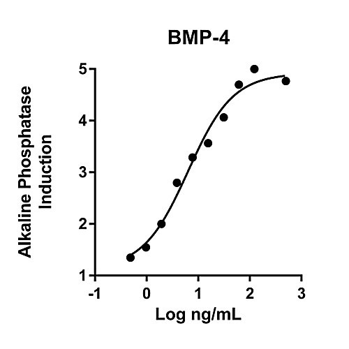 humankine recombinant human bmp-4, 10ug