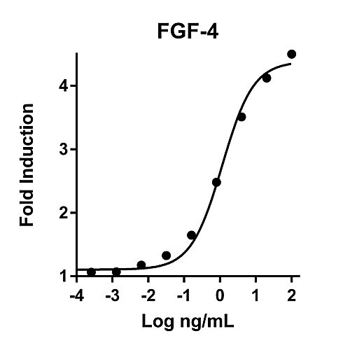 humankine recombinant human fgf-4, 100ug