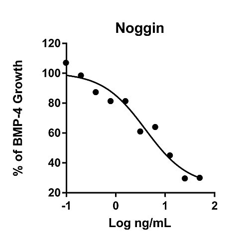 humankine recombinant human noggin, 100ug