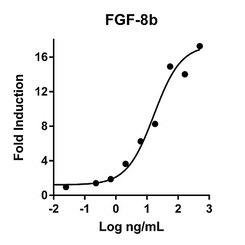 humankine recombinant human fgf-8b, 100ug