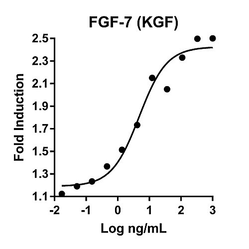 humankine recombinant human fgf-7 (kgf), 100ug