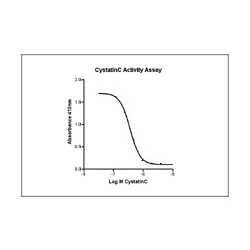 humankine recombinant human cystatin c, 100ug