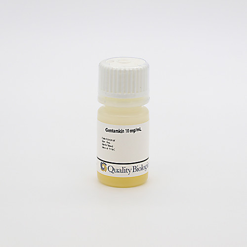 gentamicin 10mg/ml, 5x10ml