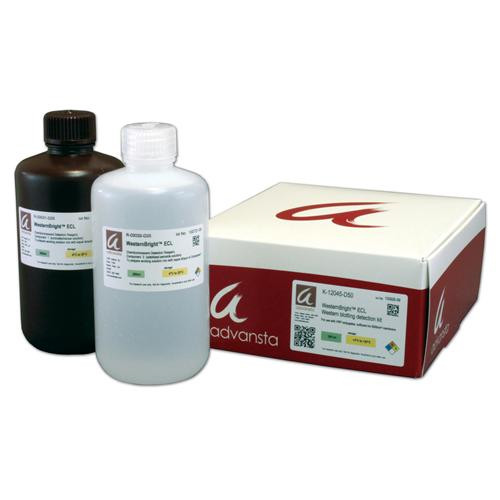 westernbright ecl hrp substrate kit (for 5000cm  membrane), 500ml