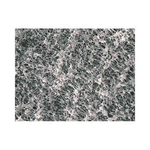 hydrophilic ptfe membrane filter, 0.10 ã¦m, 142mm