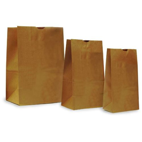 paper evidence bags, unprinted, 8-1/4 x 5-15/16 x 15-7/8 (25