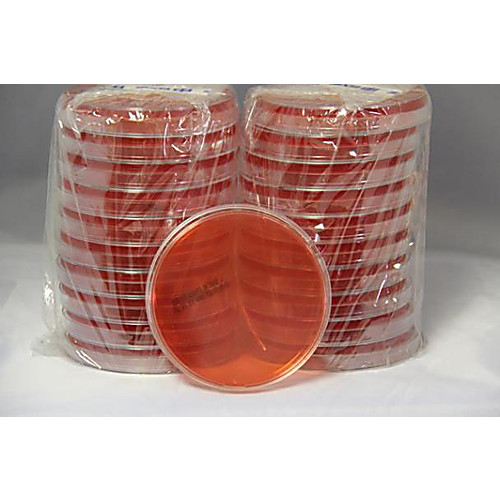 xld agar plate 10/pk