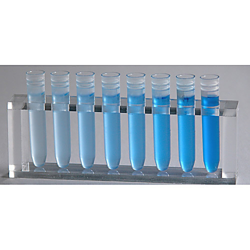 coomassie blue dye protein assay, for 6 groups of 4-5 or 24-30 students.
