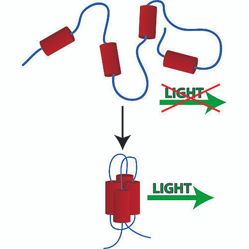 protein folding teaching kit un1444