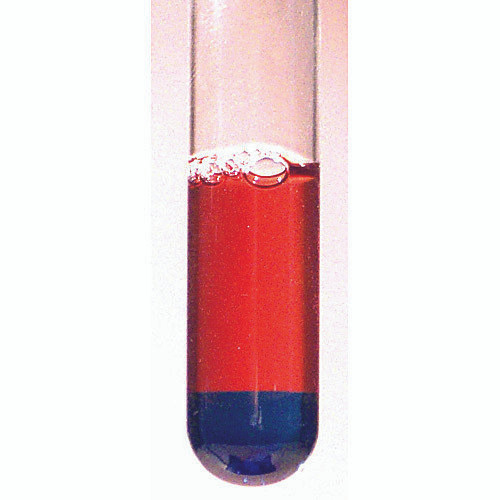 hydrophobic and hydrophilic proteins, for 6 groups of 4-5 or 24-30 students.