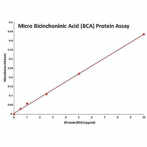 micro bca solution, 240ml