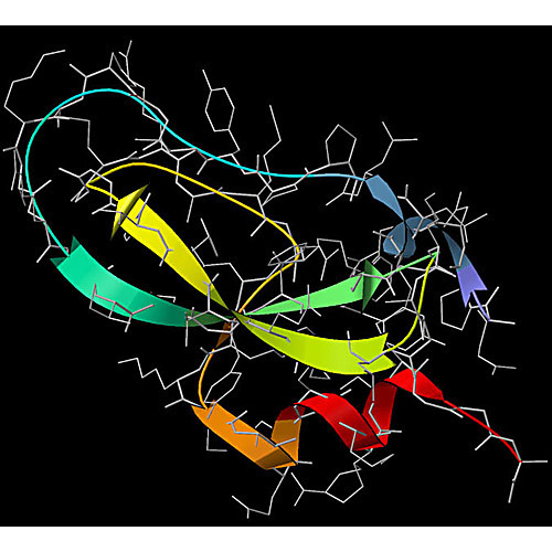 inhibitor, aprotinin