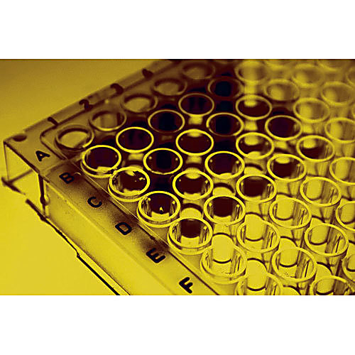 bov luteinizing hormone elisa