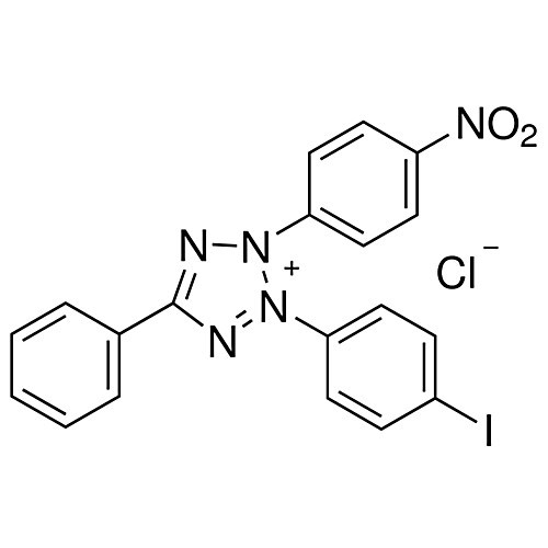 iodonitrotetrazolium cl, 25g