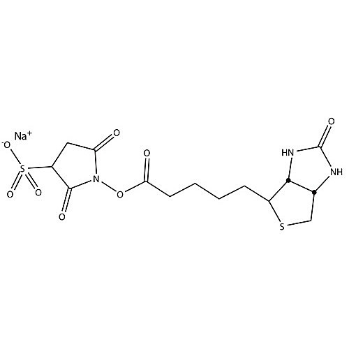 sulfo-nhs-biotin 8x1mg