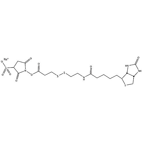 hook sulfo-nhs-ss-biotin 8x1mg