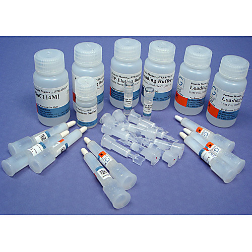 phenyl hp columns, 6 columns