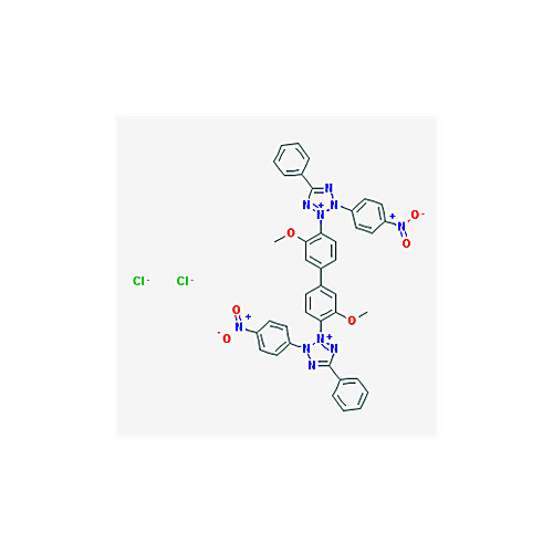nitrotetrazolium blue chloride, 2.5 g