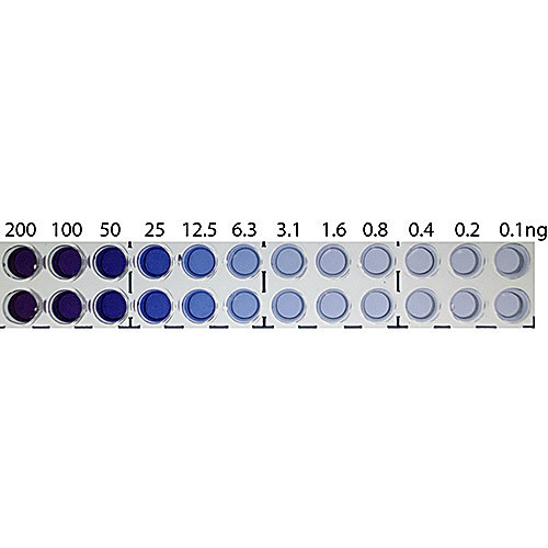 femtoelisa -ap kit, 1000 assays