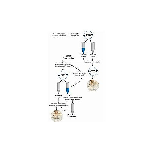 protein fractionation kit, 10 un1090