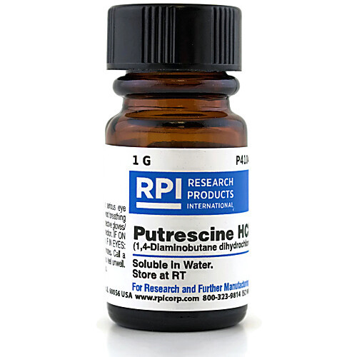 putrescine, dihydrochloride, 100g