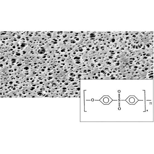 pes membrane; 0.45æm; 47mm; 100pc